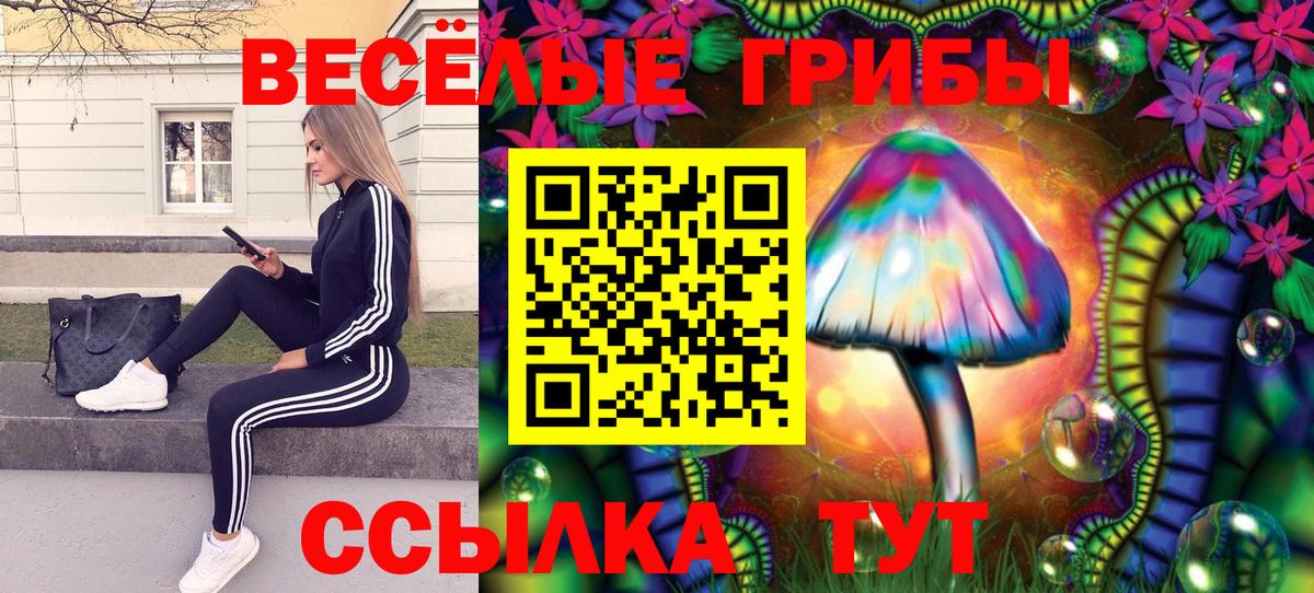 Псилоцибиновые грибы прущие грибы Тельмана